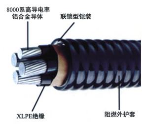 联锁铠装非金属护套合金